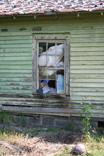 KTF Hoarding window 